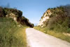 Chemin creux près d'Aléria