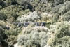 Pont sur la Cala d'Oru