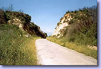 Alria - Chemin creux